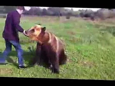 Такого медведя я вижу в первый раз