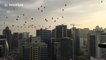 Hot air balloons fill skies above Dubai