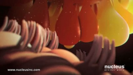 Patient Engagement Video Fertilization