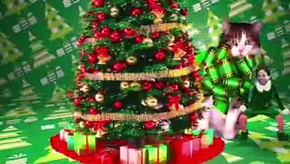 Dancing With Celebs Vicky And Kieron