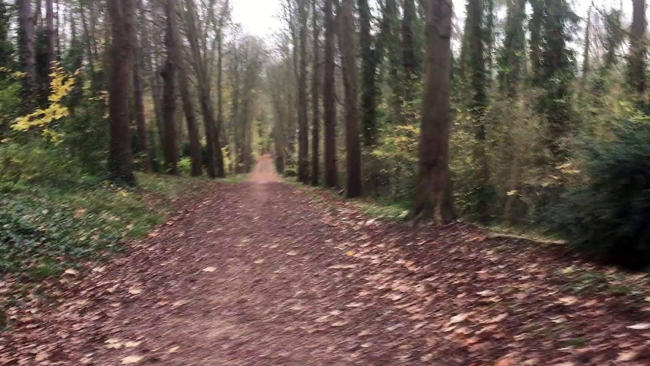 courir au parc de seaux