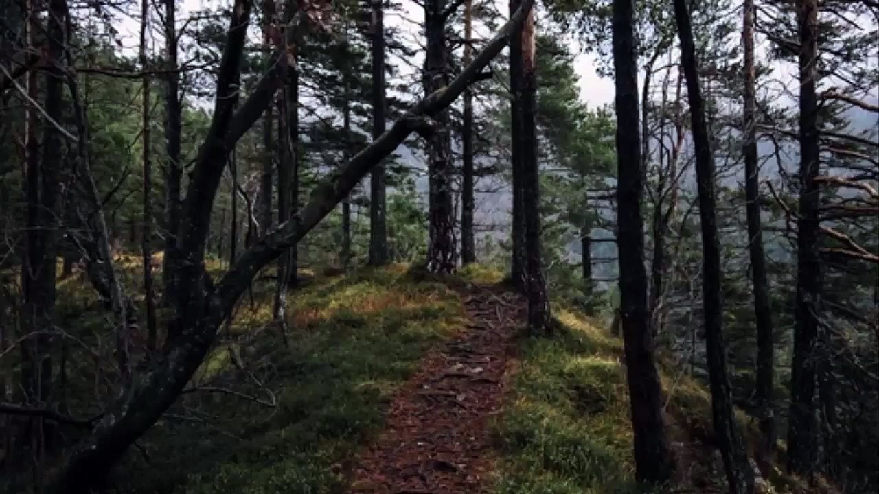 10 min of Relaxing and Meditation music for healing meditation. Instrumental Piano