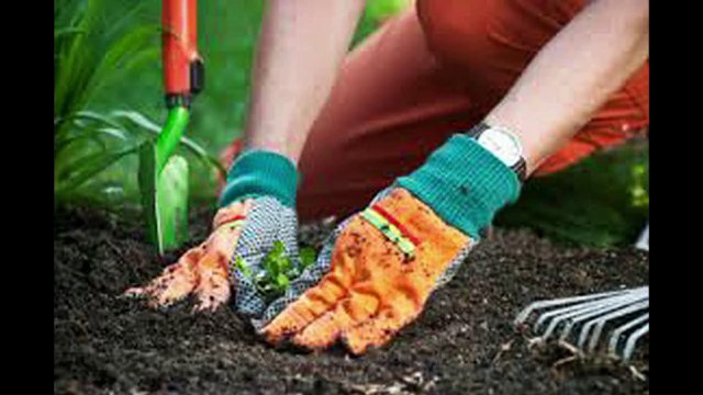 EcologieBonneNouvelle 10