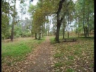 CARBALLEIRA DA SILVA, POBRA DO CARAMIÑAL