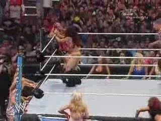 Wrestlemania 23 Melina vs Ashley