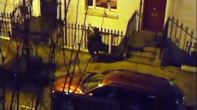 Polacy czy bydło z Polski oceń sam