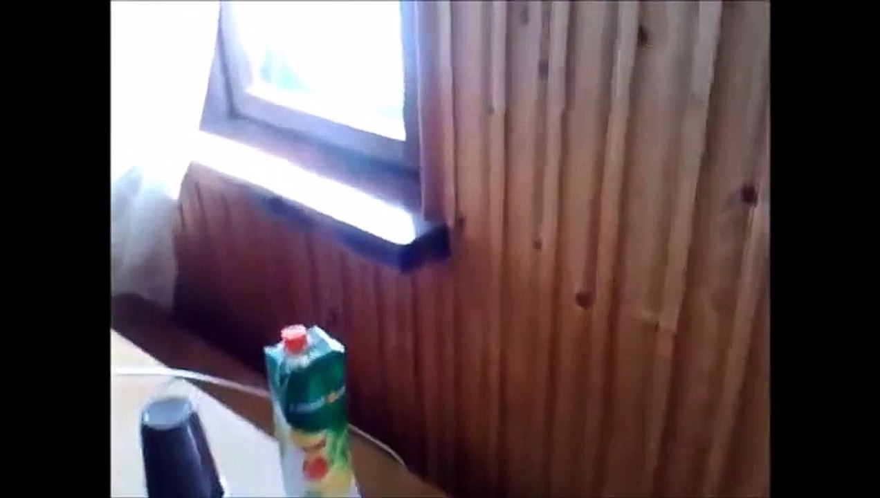 CATS PLOTTING TO KILL US