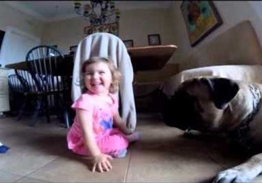 Little Girl and Big Dog Share Some Silly Kisses