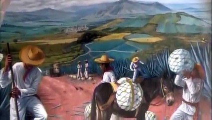 How It’s Made Tequila