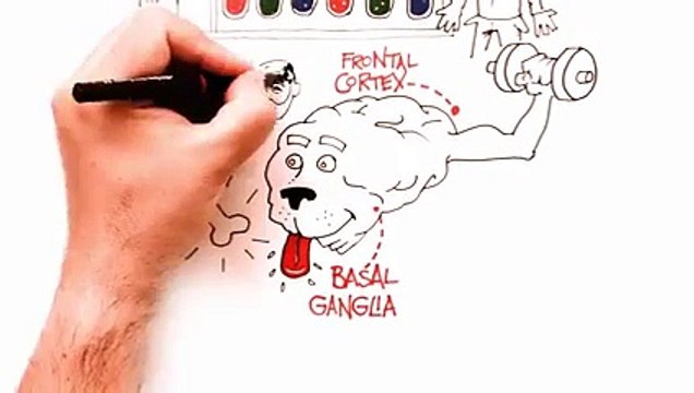 CHANGE HABITS Breaking bad behaviour