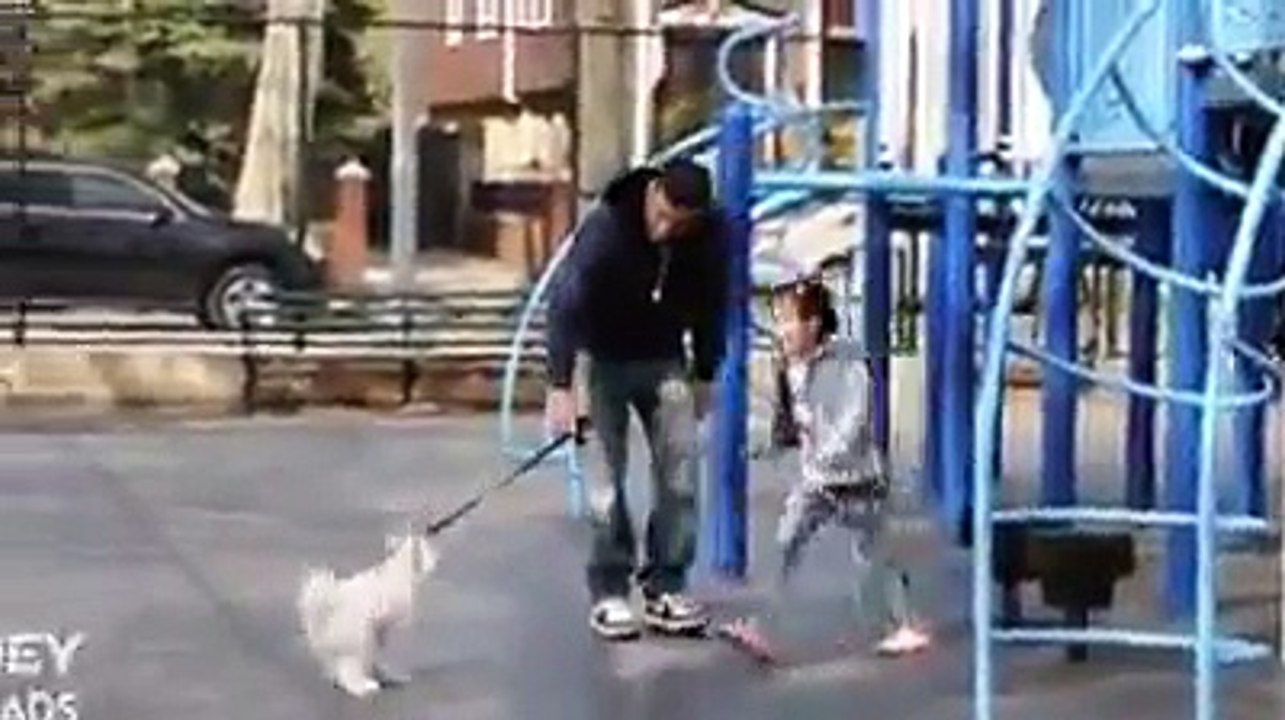 Child abduction   Social experiment