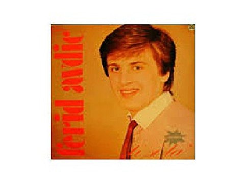 FERID AVDIC JA SAM S NJOM SRECAN BIO