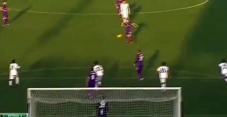 Milan Badelj Goal Fiorentina 1 0 Udinese 06/12/2015