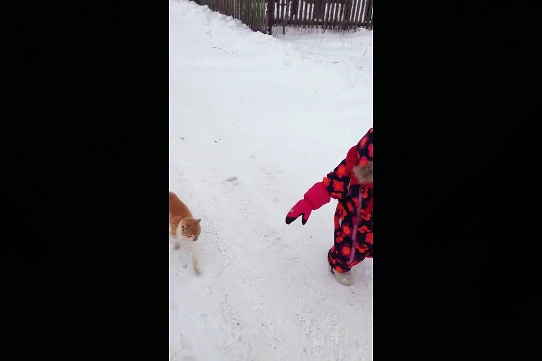 Un chat fait du catch avec une petite fille