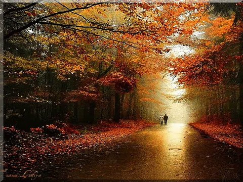 Harmoniko moja - Marinko Rokvic