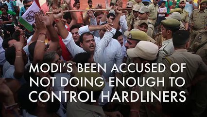 India: Whats Indias beef with beef?