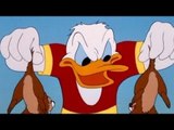 Donald Duck Chip And Dale Cartoons - Episodes1 -  Old Classics Disney Cartoons