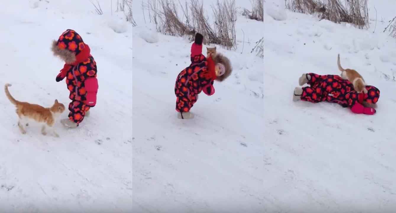 Fail, un chat saute sur un enfant et le fait tomber à la renverse