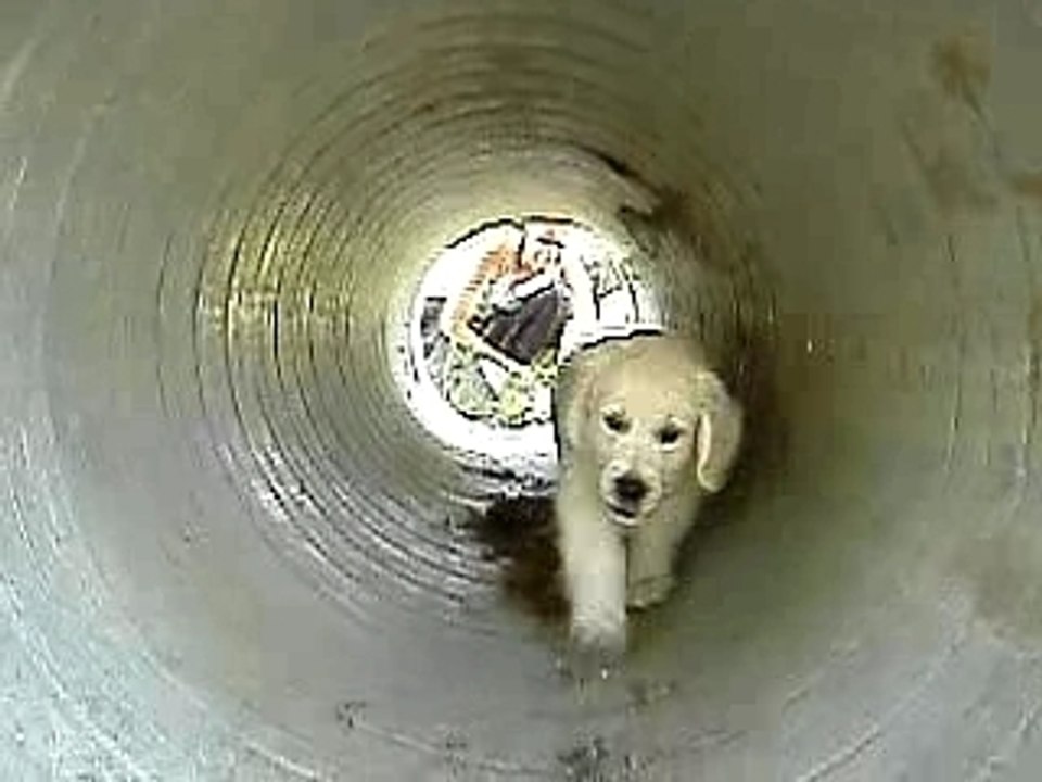 Agility