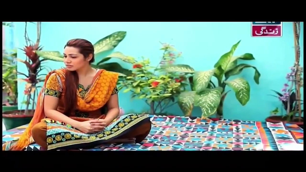 Bay Gunnah Episode 49 on ARY Zindagi