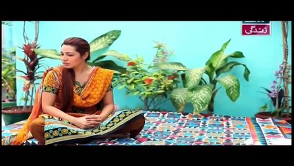 Bay Gunnah Episode 49 on ARY Zindagi