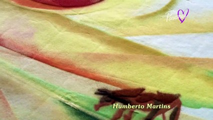 Gabriela-Cap 27 Full HD