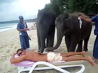Elephant massage