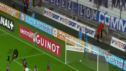 Montpellier vs Marseille - Highlights - 6 Dec 2015
