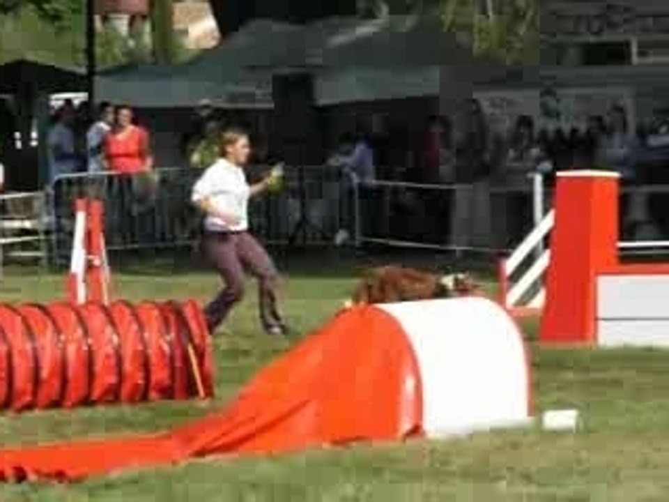 Agility Eclair FAR Eyragues