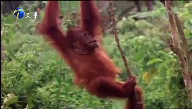 20151206 China Right Here 泊客中国