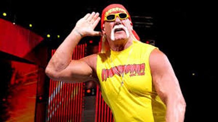 Brock Lesnar vs. Hulk Hogan- SmackDown_ August 8_ 2002
