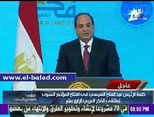 السيسي: نسعى للتكامل العربي لتحقيق الاستقرار
