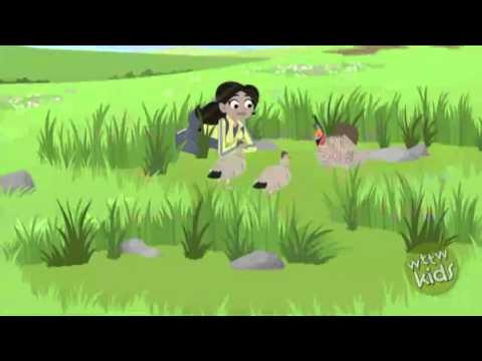 Wild Kratts Prairie Who - video Dailymotion