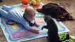 Gatos mejores enfermeras y niñeras. Los gatos y los niños lindos (colección)