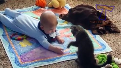 Video herunterladen: Gatos mejores enfermeras y niñeras. Los gatos y los niños lindos (colección)