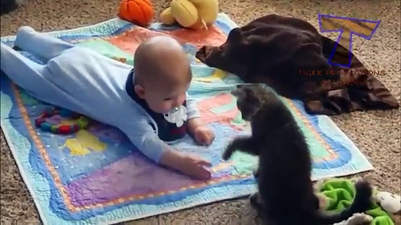 Chats meilleures infirmières et nounous. Chats mignons et les enfants (collecte)