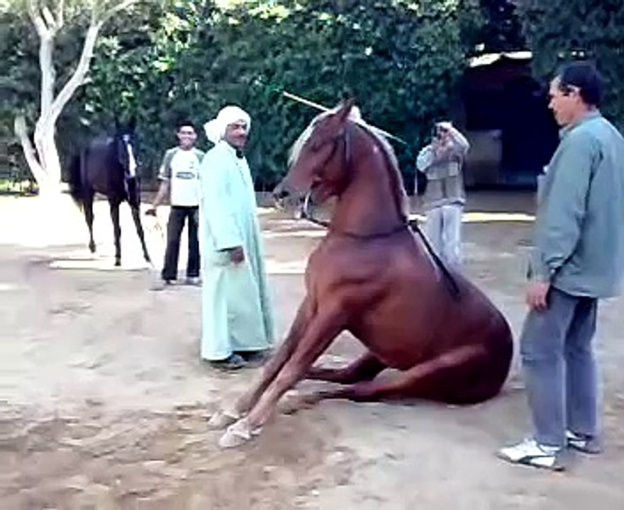 المعلم معروف سرحان الفنان