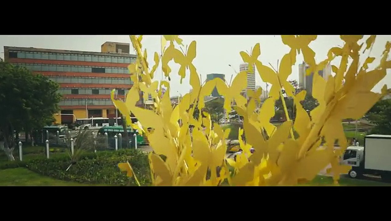 Carlos Vives - Las Cosas de la Vida