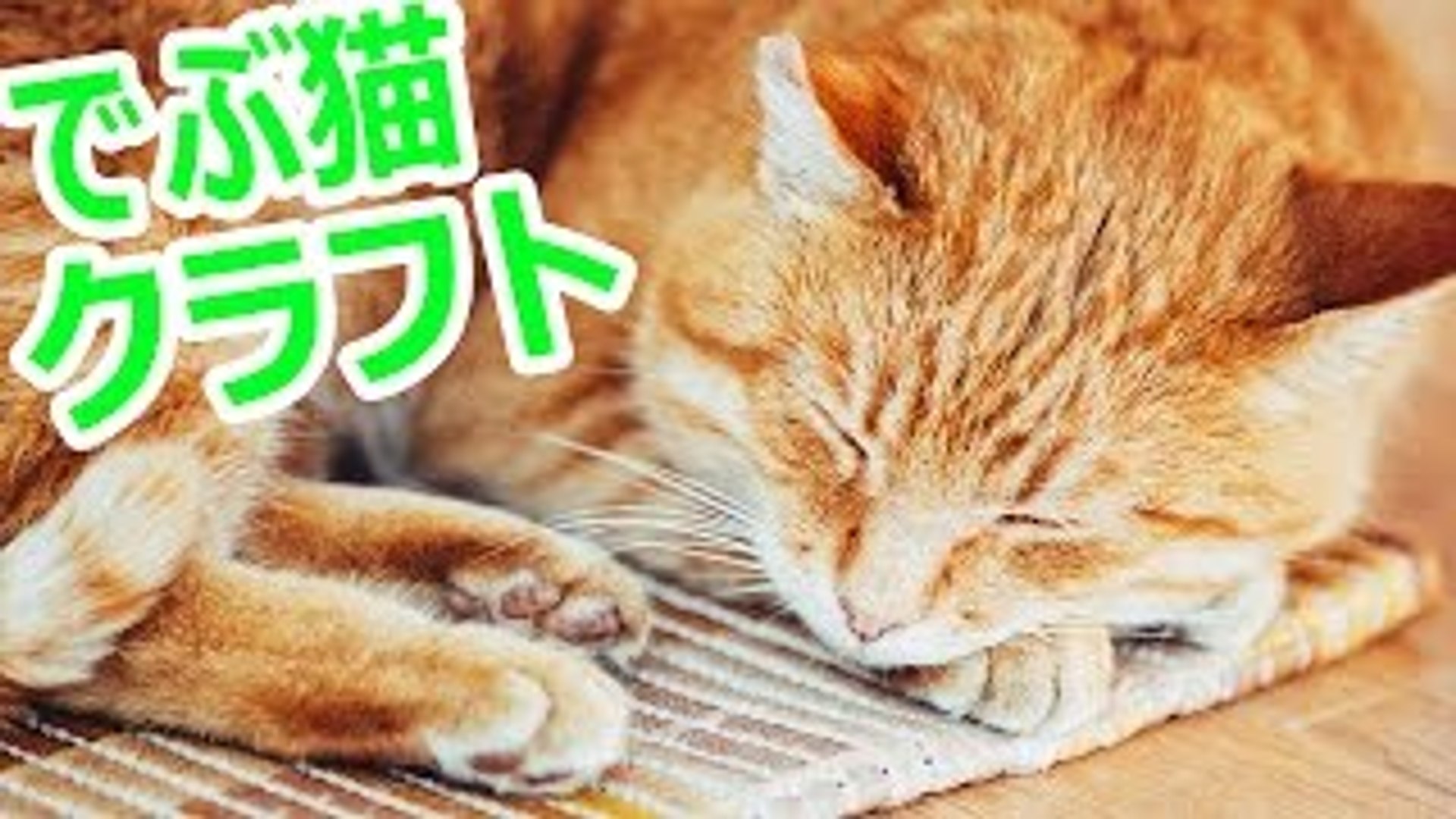 最も検索 でぶ 猫 クラフト 100 で最高の画像