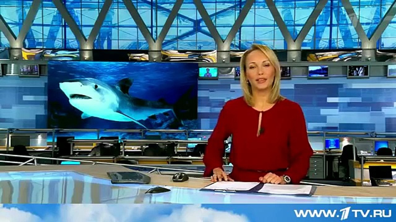 Я В ШОКЕ! СУМАСШЕДШИЙ МУЖИК НАПАЛ НА СМЕРТЕЛЬНО ОПАСНУЮ АКУЛУ!