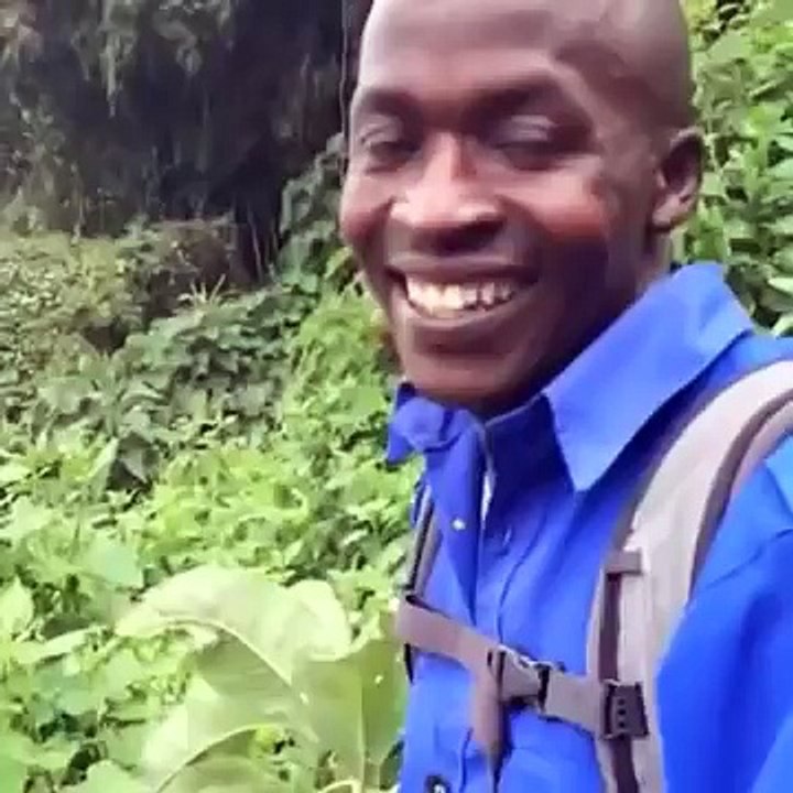 Funny ok vine remake