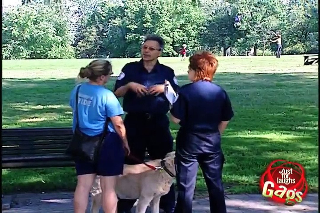 dog police