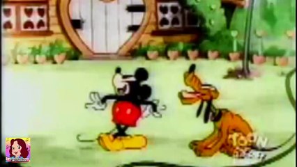 3 DESENHOS DISNEY ctv Nº 4 – PAPAGAIO DO MICKEY, O RIVAL, A OFICINA DO MICKEY