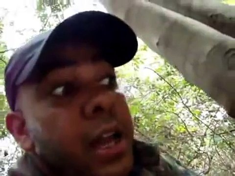 Что будет, если аллигатор укусит электрического угря