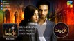 Gul E Rana Full Audio OST Sajjal Ali Feroze Khan HUM TV Drama