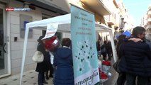 Andria: Stelle di Natale per sostenere l'assistenza gratuita ai malati oncologici