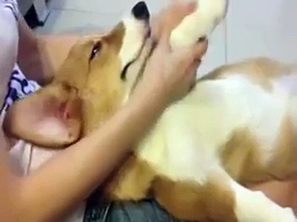 یہ لڑکی اس کتے کے ساتھ کیا رہی ہے