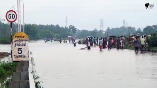 super bus driver in chennai floods