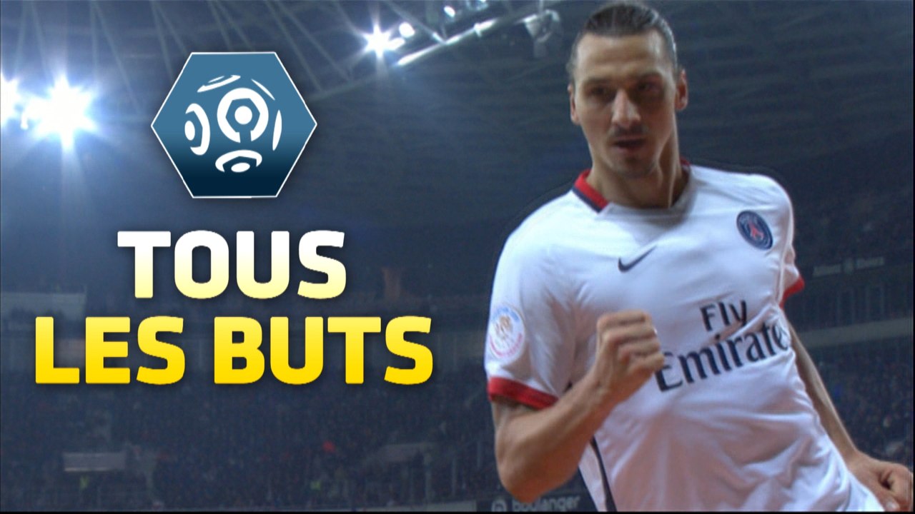 Tous les buts de la 17ème journée - Ligue 1 / 2015-16