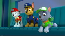 Paw Patrol Español Games Birthday Christmas 2015, Paw Patrol Episodes Eggs Cake Names Full